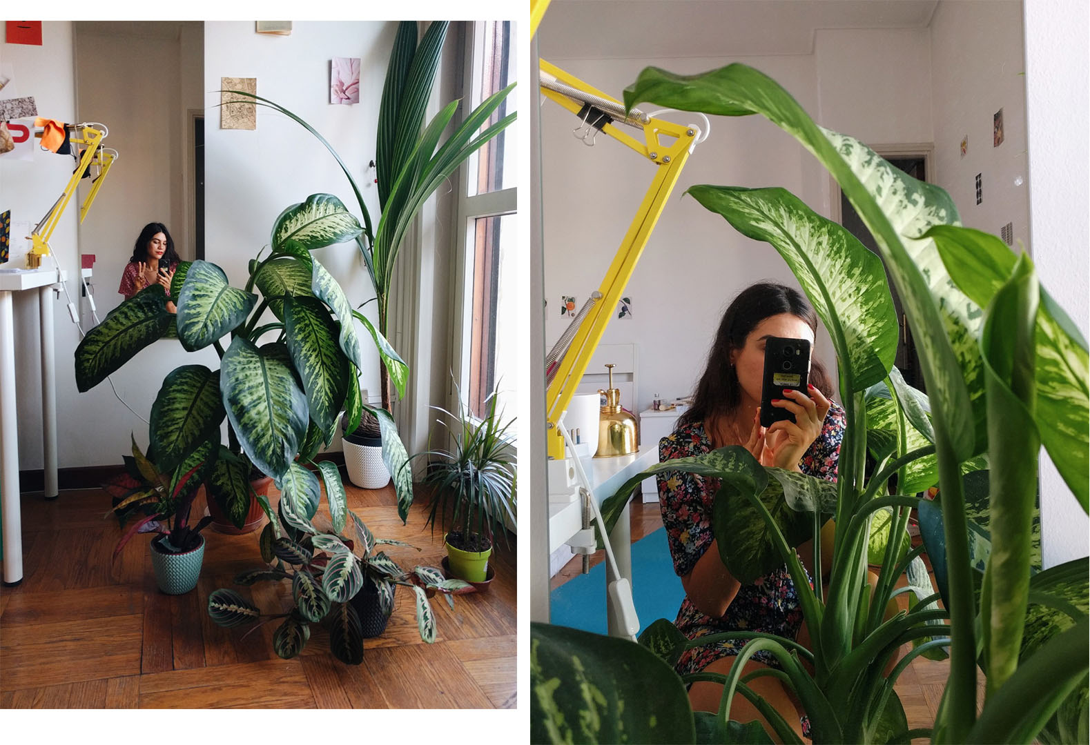 storia-delle-case-francesca-corno-via-m-due