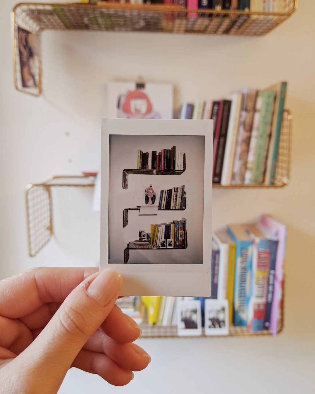 libri-libreria-scaffale-polaroid